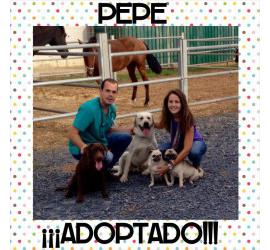 Pepito