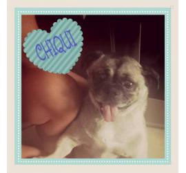 Chiqui