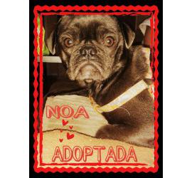 Noa