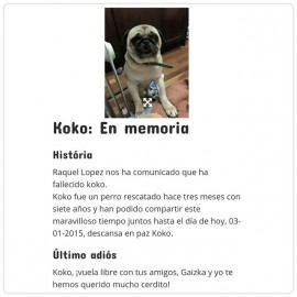 Imágen de Instagram - Carlinosos 