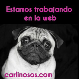 Imágen de Instagram - Carlinosos 