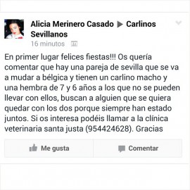 Imágen de Instagram - Carlinosos 