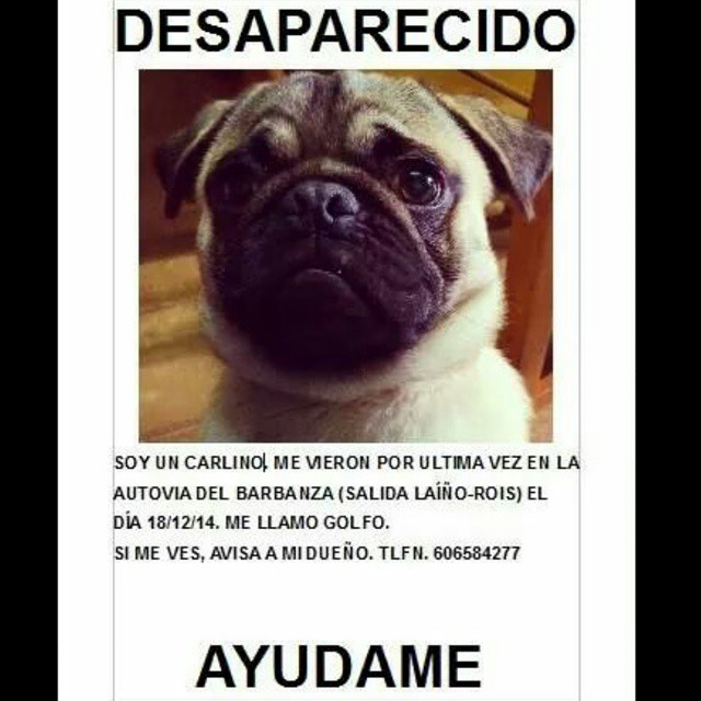 Imágen de Instagram - Carlinosos 2014-12-29