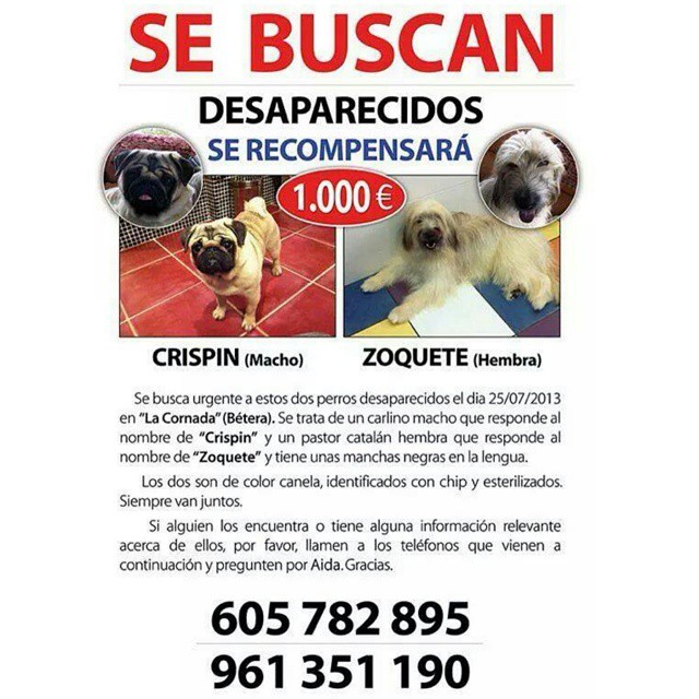 Imágen de Instagram - Carlinosos 2014-12-28