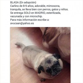 Imágen de Instagram - Carlinosos 