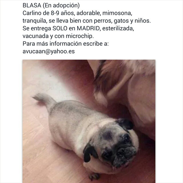 Imágen de Instagram - Carlinosos 2014-12-24