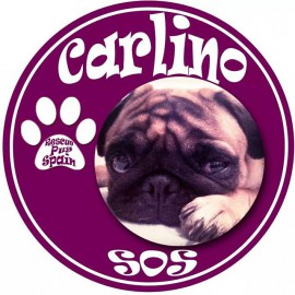 Imágen de Instagram - Carlinosos 