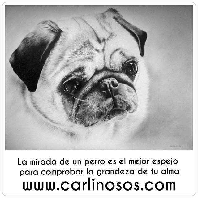 Imágen de Instagram - Carlinosos 2015-04-07