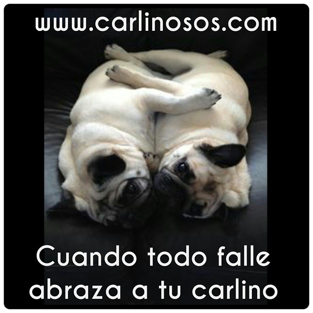 Imágen de Instagram - Carlinosos 2015-02-24