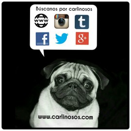 Imágen de Instagram - Carlinosos 