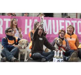 Por fin Madrid prohibirá el sacrificio de animales abandonados