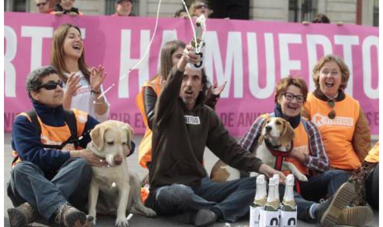 Por fin Madrid prohibirá el sacrificio de animales abandonados