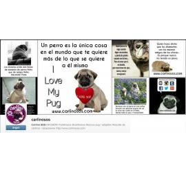Imágenes en exclusiva en nuestro Instagram