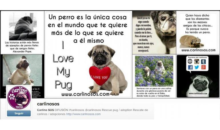 Imágenes en exclusiva en nuestro Instagram