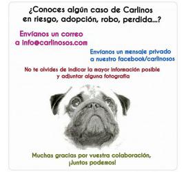 Colabora con nosotros