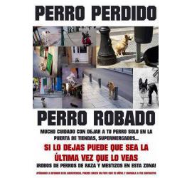 Aumentan los robos de perros de raza y mestizos en España