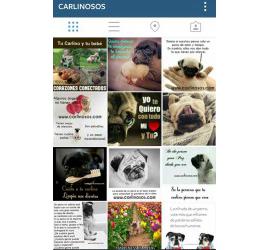 Síguenos en Instagram