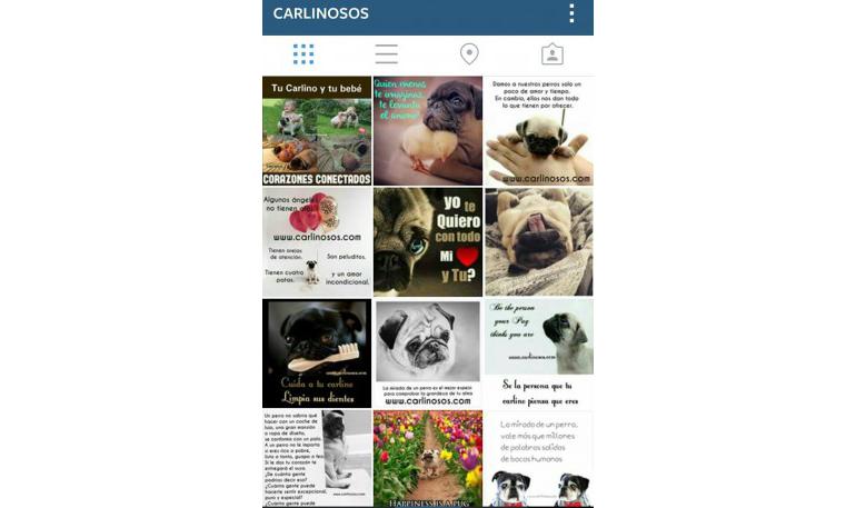 Síguenos en Instagram