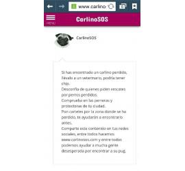 Seguimos trabajando en la web