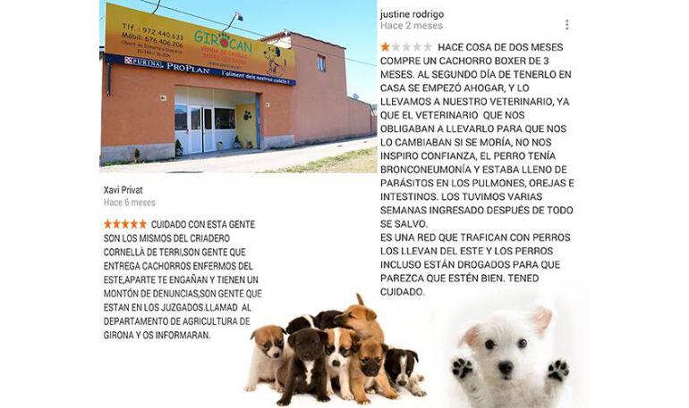 Llamamiento contra Girocan