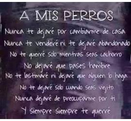 A mis perros...