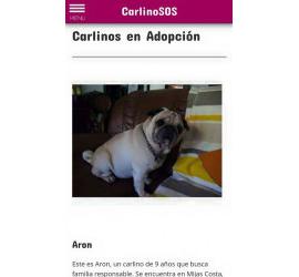 ¡Seguimos trabajando en nuestra web!
