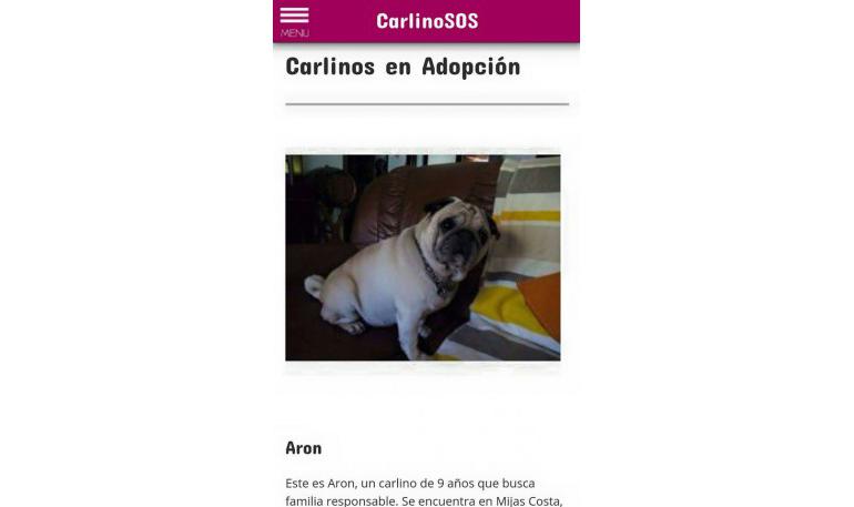 ¡Seguimos trabajando en nuestra web!