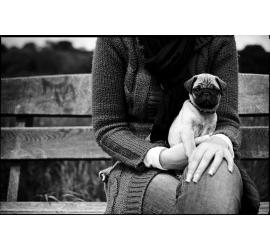 Te has preguntado por qué los perros viven menos que las personas?