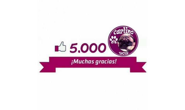 5.000 Fans en Facebook