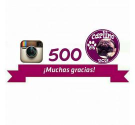 500 seguidores en Instagram