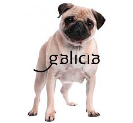  LEY 8/2014 de 26 de septiembre, de reforma de la Ley 1/1993, de 13 de abril, de protección de animales domésticos y salvajes en cautividad de Galicia