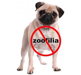 ICV vuelve a preguntar al Gobierno por la zoofilia y su penalización