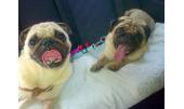 Cami y Gus 2