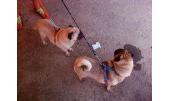 Cami y Gus 3