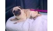 Cami y Gus 4