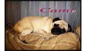 Cami y Gus 5