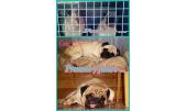Cami y Gus 6