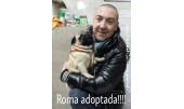 Roma 2