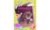 Karmela 1
