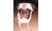 Lola 2