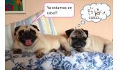Manolo y Carmen 2