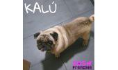 Calú - Kalú 3