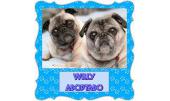 Willy 2