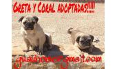 Greta y Coral 1