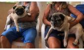 Manolo y Dina 2