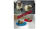 Motika y Lula 6