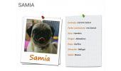 Samia 1