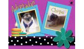 Chiqui 8